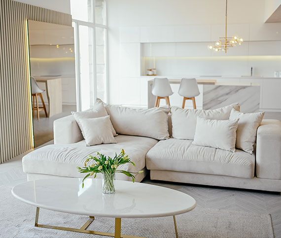 About Maa Baglamukhi developers and promoter's